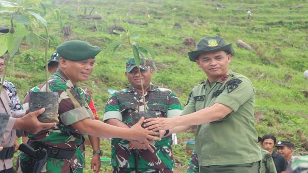 Perhutani dan TNI Tanam Bibit Pohon di Perbukitan Menoreh, Ini Tujuannya