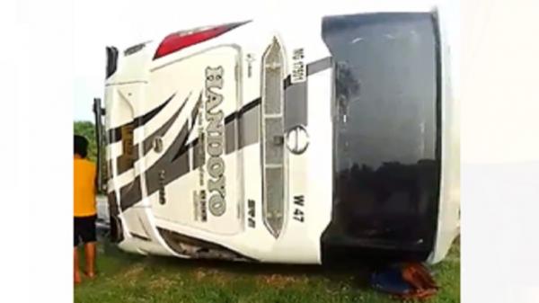 Kecelakaan Hari Ini, Bus Handoyo Terguling di Tol Cipali 12 Orang Tewas