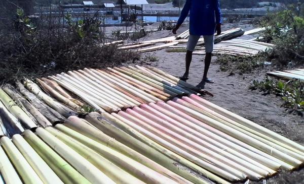 Peluang Ekonomi yang Dihasilkan dari Pelepah Pisang, Yuk Manfaatkan