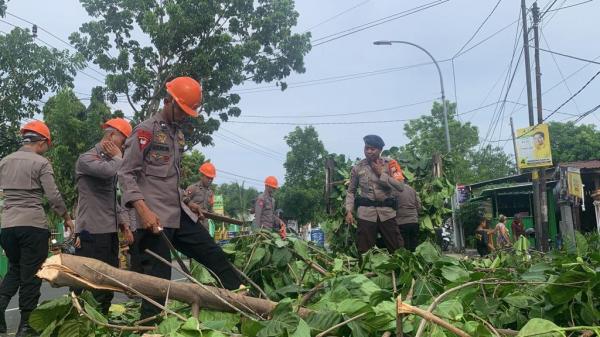 Tim SAR Brimob Bone, Evakuasi Pohon Tumbang Di Jalan Poros Bajoe