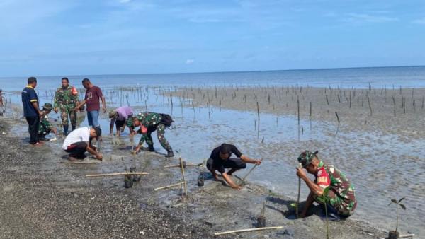 Dandim TTU dan Warga Desa Humusu Wini Lindungi Pantai dengan Tanam 300 Bibit Mangrove