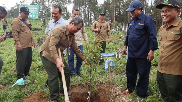 Tanam Perdana Konservasi EX Situ Kebun Plasma Nutfah Durian Lokal Nusantara, Ini Tujuannya
