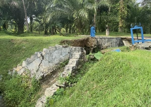 Irigasi Jebol di Sejumlah Lokasi Warga Dua Desa di Padang Jaya ini Gigit Jari