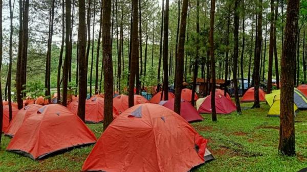 Nikmati Malam Tahun Baruan di Hutan Pinus Camping Ground Bukit Nangreu Gunung Galunggung Tasikmalaya