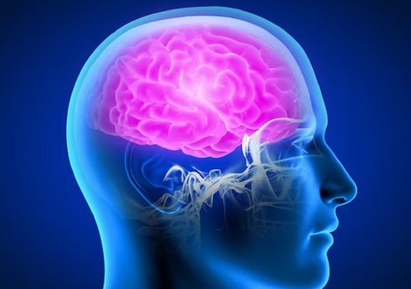 Jaga Otak Tetap Tajam: Tips Neurologi untuk Memperkuat Memori