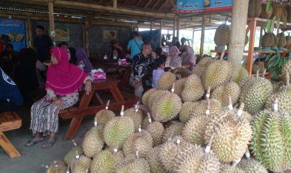 Libur Akhir Tahun, Berburu Beragam Durian di Kedai Durian Kujang Ciamis dengan View Gunung Sawal