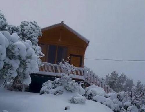 Fenomena Salju Menyelimuti Wilayah Tabuk Arab Saudi, Netizen : Pertanda Akhir Zaman