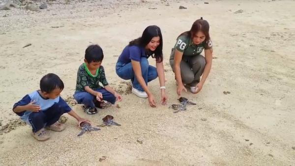 Wisata Edukasi Lepasliarkan Tukik di Tanjung Lesung Pandeglang Banten, Tawarkan Pengalaman Unik