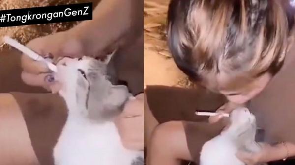 Viral Cewek Masukkan Asap Rokok ke Mulut Kucing, Netizen: Bakal Kena Balasannya