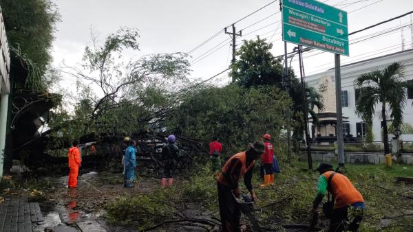 Pohon Tumbang Ganggu Perjalanan KA Batara Kresna di Solo