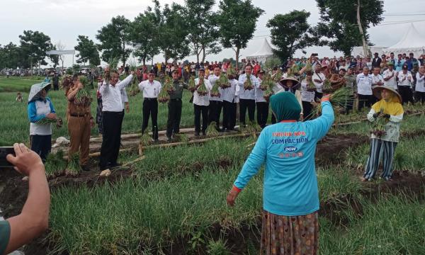 Momen Pangdam Diponegoro dan Menteri Pertanian Panen Raya Bawang di Brebes
