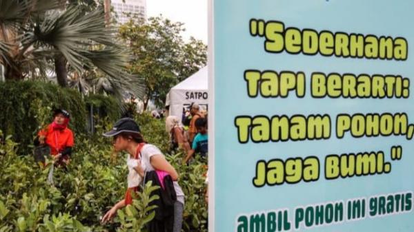 18.000 Bibit Pohon Gratis Disediakan untuk Masyarakat di Maluku