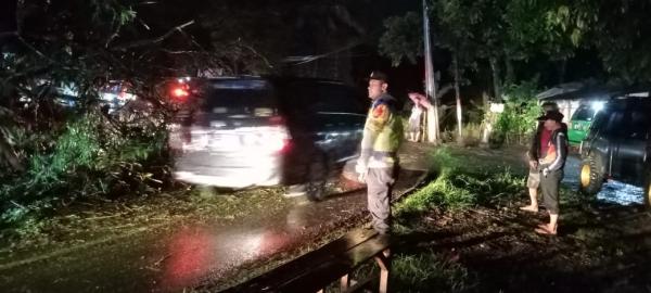 Pengendara Motor Asal Ciamis Tewas Tertimpa Pohon Tumbang di Jalan Nasional Garut