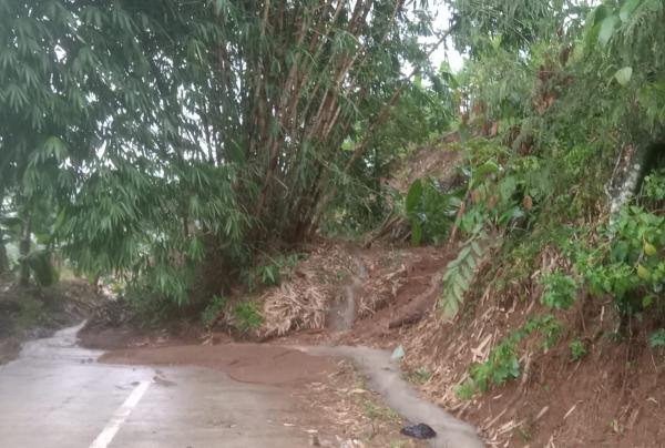 Hujan Deras di Desa Kemang Cianjur Akibatkan Longsor dan Banjir