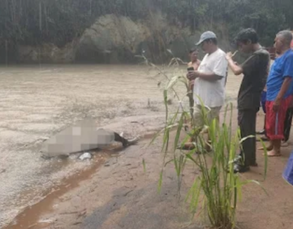 Geger! Mayat Seorang Pria Tanpa Identitas Ditemukan di Pinggir Sungai Way Tahmi Rebang Tangkas