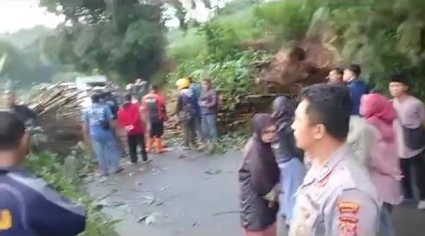 Pohon Tumbang Tutup Akses Jalan Garut Menuju Sumedang