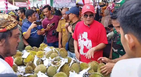 32 Jenis Durian Lokal Desa Nangka Bangka Selatan Dilombakan