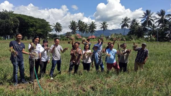 Terus Dorong Program Marijo Bakobong, KPw BI Sulut Panen Raya 5 Ton  Bawang Merah di Kotamobagu