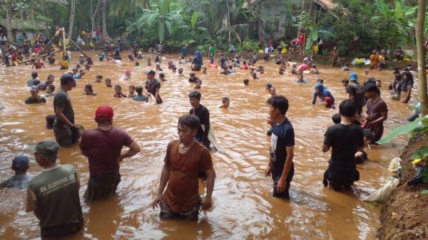 Keseruan Ngubyak Balong di Kampung Cibunar Ciamis, Tangkap Ikan dengan Tangan Kosong