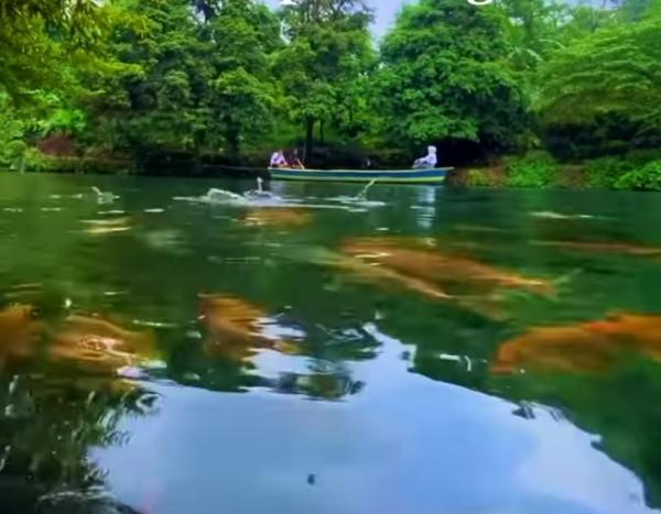 Situ Cipanten, Danau Cantik di Majalengka yang Berwarna Biru saat Hujan