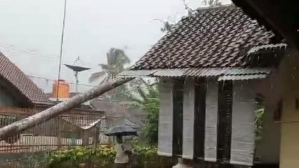 Pohon Tumbang Timpa 2 Rumah di Kota Banjar saat Hujan Deras Disertai Angin Kencang