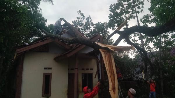 Angin Puting Beliung Terjang Rajapolah Tasikmalaya, Puluhan Rumah Rusak dan Pohon Tumbang