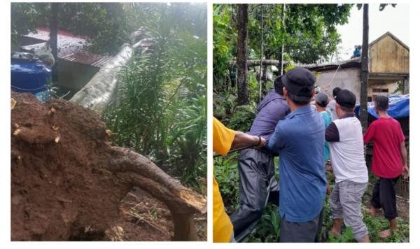 Akibat Hujan Deras, Rumah Warga Banjarwangi  Pandeglang Rusak Tertimpa Pohon 