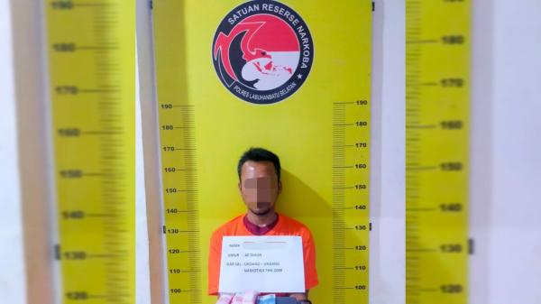 Polres Labuhanbatu Selatan Ringkus Pengedar Sabu di Desa Mampang, Begini Kronologinya