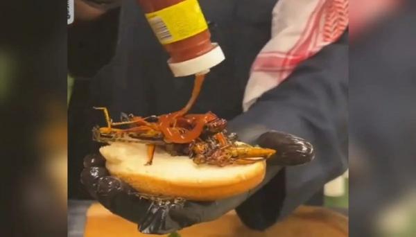 Agak Laen! Arab Saudi Populerkan Burger Belalang Seharga Rp31 Ribu, Tertarik?