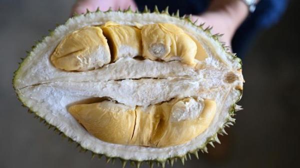 Setelah Makan Durian, Ini dia 8 Pantangan yang Harus Anda Hindari Karena Bahaya Bagi Kesehatan