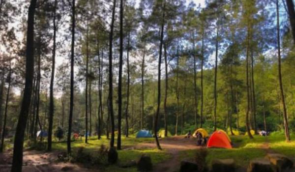 Berikut Rekomendasi Tempat Camping di Kota Malang, Cocok Untuk Liburan