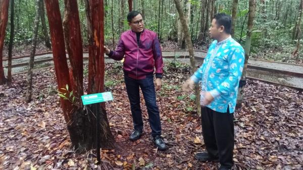 Direktur Merek dan IG DJKI Kemenkumham Lihat Langsung Potensi Hutan Pelawan Bangka Tengah