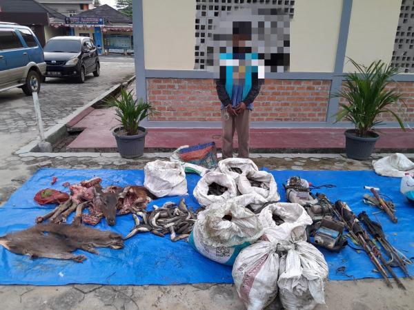 Kedapatan Berburu di Hutan Lindung Way Kambas, Seorang Warga Ditangkap Polisi 