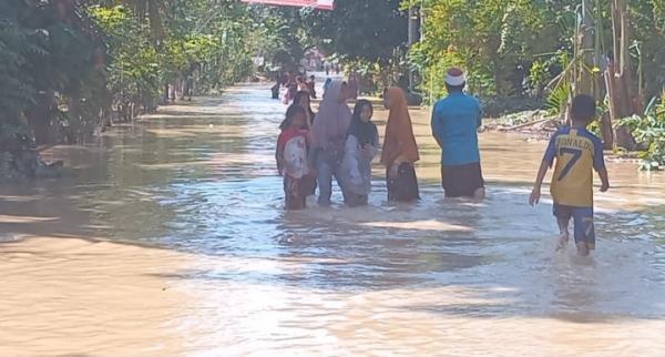 Data BNPB: 3.458 Rumah Terendam dan 1.199 Jiwa Mengungsi Imbas Banjir di Bireun Aceh