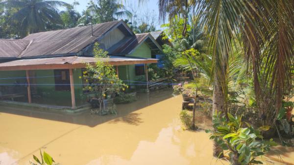 Banjir di Kabupaten Bireun, Sebanyak 3.458 Rumah Terendam dan 1.199 Jiwa Mengungsi