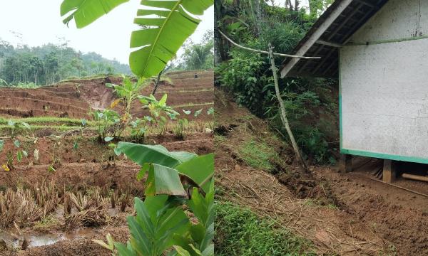 Pergerakan Tanah di Puspahiang Tasikmalaya, Penghuni 3 Rumah Ketar-ketir Rumah Terbawa Ambrol