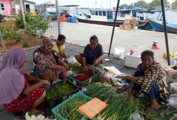 Jualan Sayur di Kepulauan Seribu, Keuntungan Mencapai 200 Ribu per-Hari