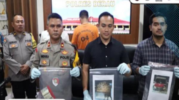 Polisi Ungkap Kasus Illegal Logging di Berau, Satu Truk Kayu Ulin Disita