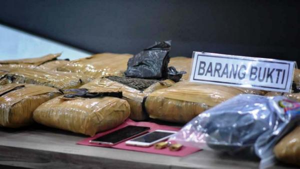 Petugas Gagalkan Upaya Penyelundupan 24 Kilogram Ganja dari Sumut ke Kota Pangkalpinang