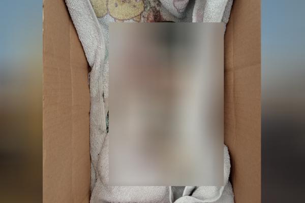 Mayat Bayi Perempuan Ditemukan di Kali Busa Bekasi Utara