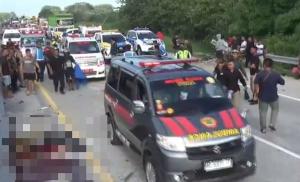 Bus Satgas Hanura Kecelakaan di Tol Ngawi, Dikabarkan 2 Orang  Tewas