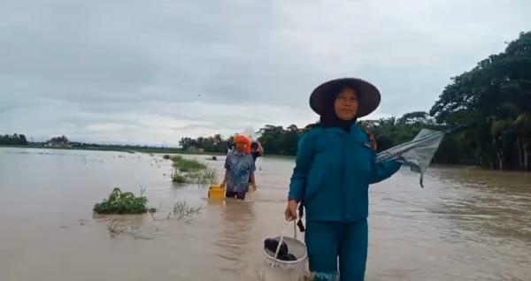 Banjir Rendam 3 Kecamatan di Pandeglang Banten