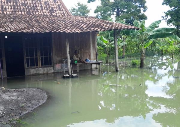 Hujan Deras dan Luapan Sungai Sebabkan 7 Desa di Grobogan Terdampak Banjir