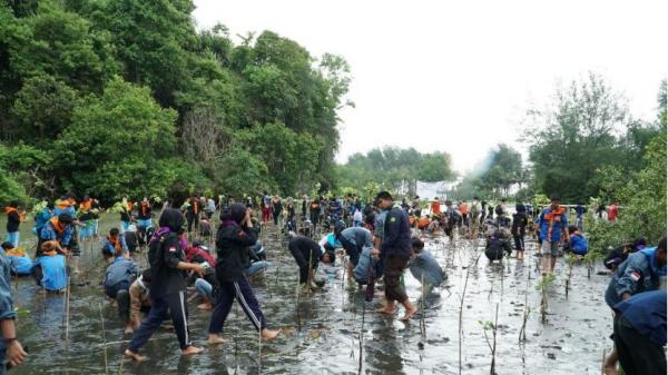 Jaga Ekosistem Pesisir, Mapala Satria UMP Tanam 3.000 Bibit Mangrove di Pantai Sodong Cilacap