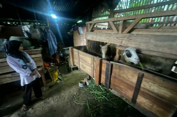 Viral, Pasutri Warga Padalarang Tinggal di Rumah Tak Layak dekat Kandang Domba
