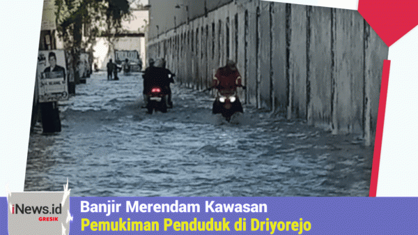 Curah Hujan Meningkat, Kawasan Pemukiman penduduk di Driyorejo Gresik Terendam Banjir