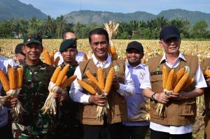 Menteri Pertanian Amran Panen dan Tanam Jagung di Lahan Seluas 5 Hektare di Aceh