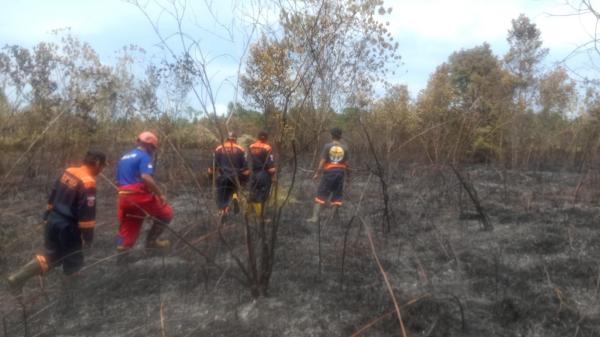 Kebakaran Hutan Terjadi di Lingga, Diduga Akibat Pembukaan Lahan