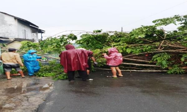 Pohon Tumbang di Sukoharjo, Timpa Rumah Warga dan Halaman Kantor Polisi
