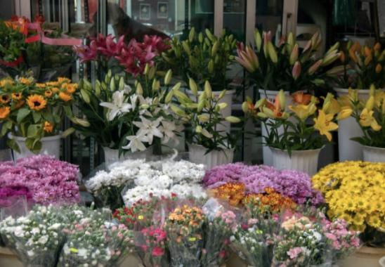 Rayakan Hari Valentine, Ini 3 Pasar Bunga di Bandung